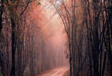 东升国际：中超旧将即将登陆意甲！热那亚总监亲口证实，合同签至2027年.