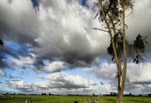 东升国际：被判9年！罗比尼奥监狱生活：修电视&收音机，踢监狱足球赛遭飞铲.