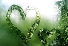 库尔图瓦：比利时有能力3-0战胜乌克兰并翻盘晋级，这不会太困难.