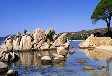 东升国际：[德甲]盘点德甲前十一轮各项数据之最.